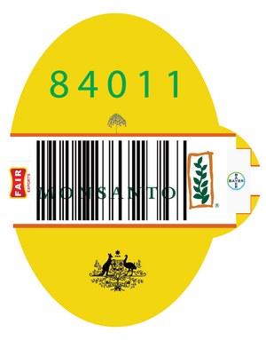 PRESCRIPTION SEEDS 84011 BANANA